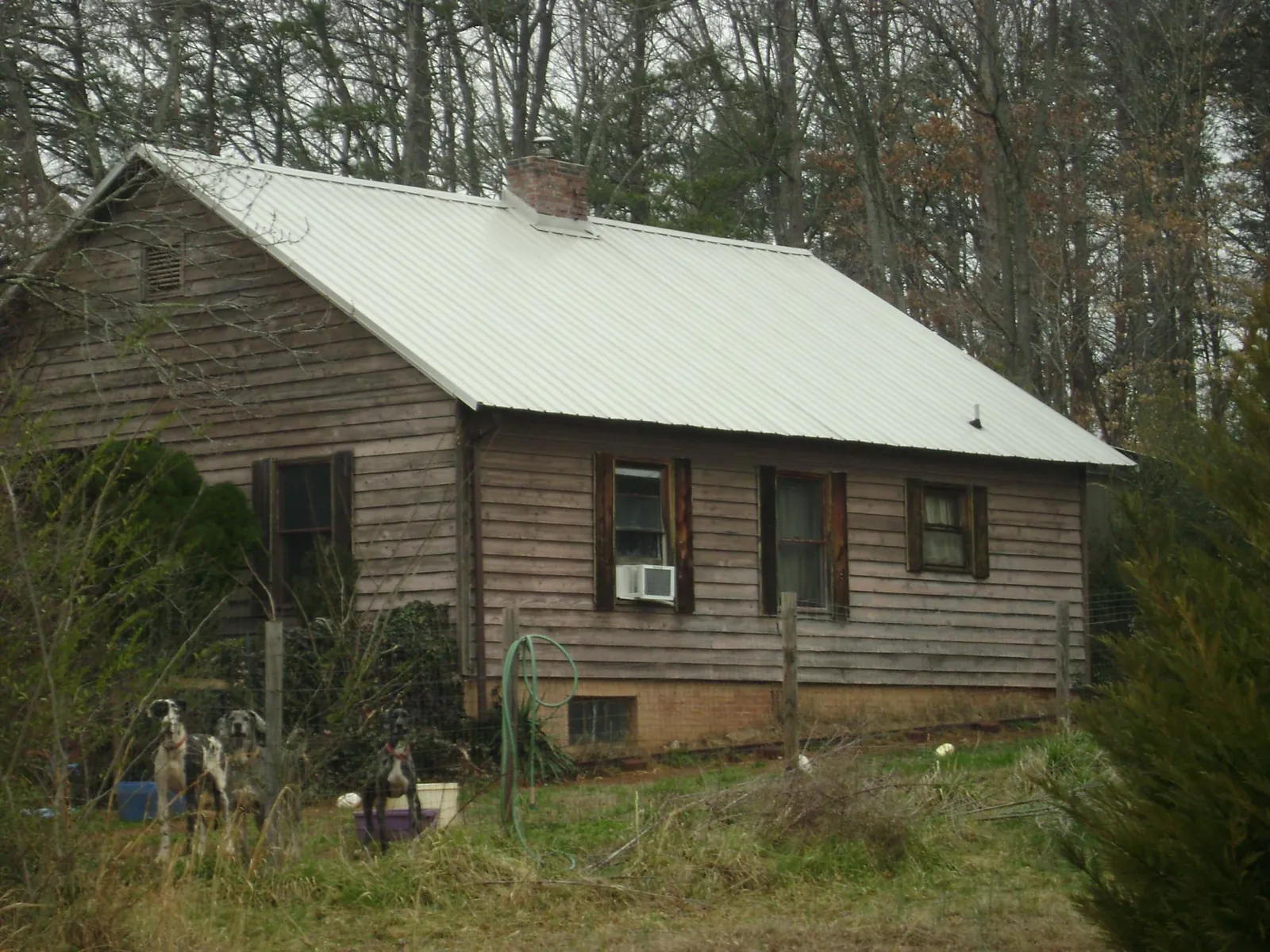 White metal roof on an old wood sided farmhouse, from a Asphalt Shingle Roof Repair job in Santa Cruz